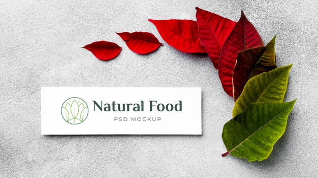 Natural Food Mock-Up With Leaves Psd