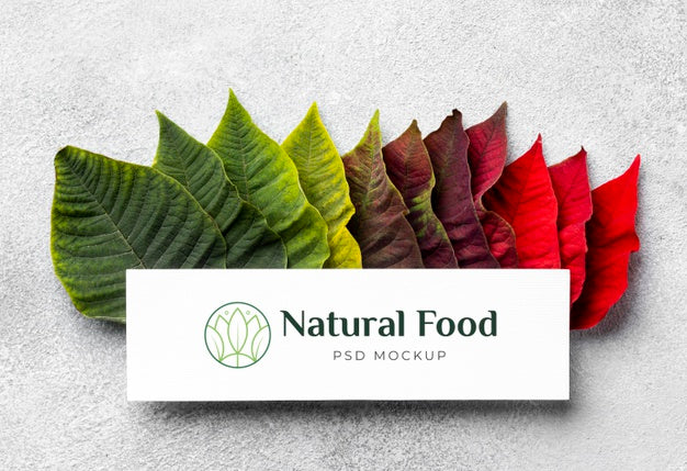 Natural Food Mock-Up With Leaves Psd