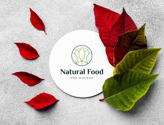 Natural Food Mock-Up With Leaves Psd