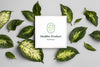 Natural Product Mock-Up With Leaves Psd