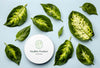 Natural Product Mock-Up With Leaves Psd