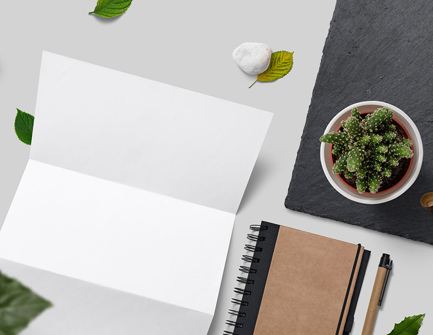 Nature Branding Mockup Scene