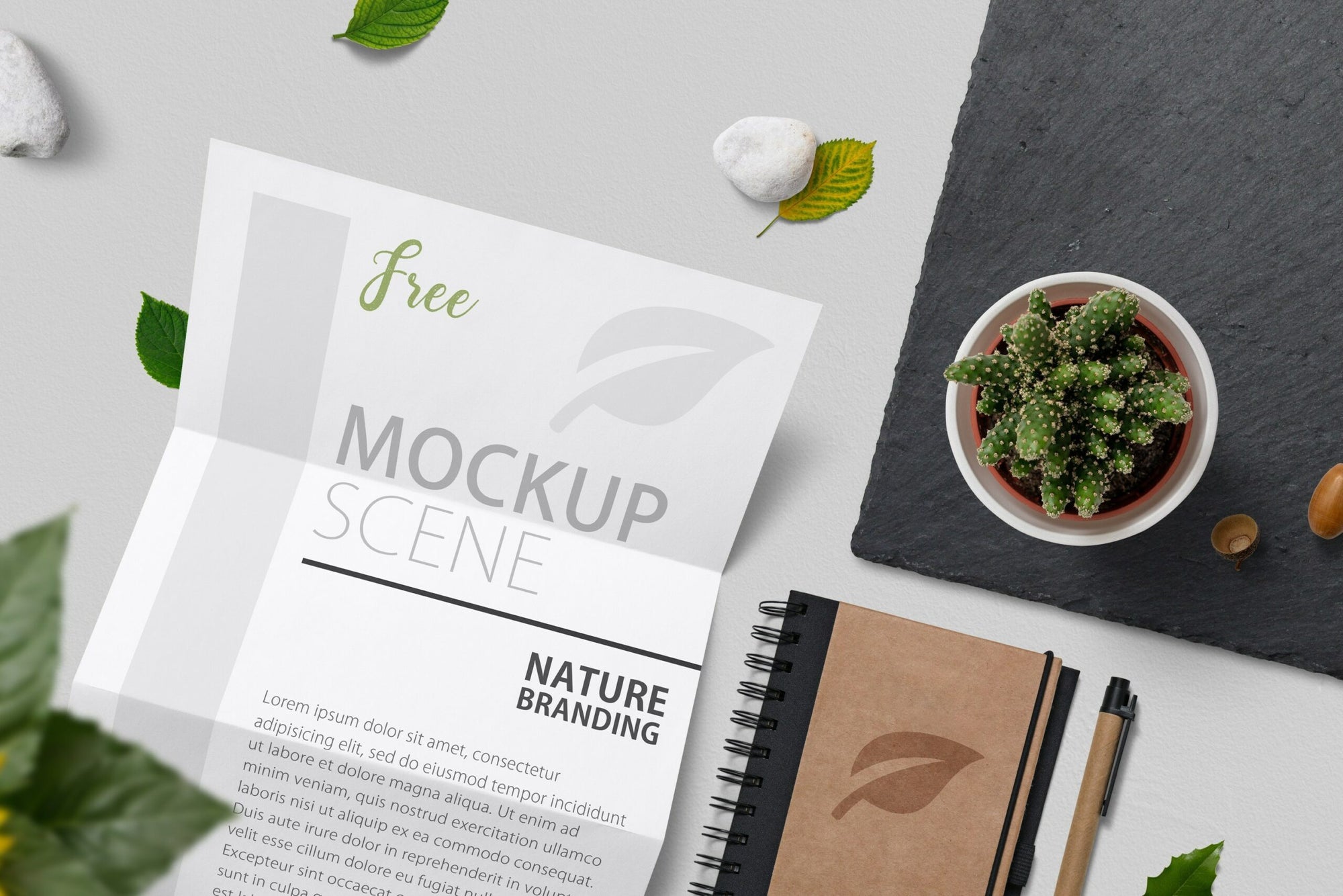Nature Branding Mockup Scene