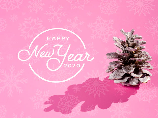 New Year 2020 Concept With Pine Cone And Shadow Psd