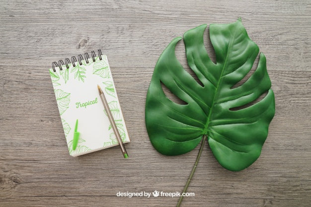 Notepad And Leaf Psd