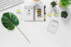 Office Plants Keyboard And Notebook Mock-Up Psd