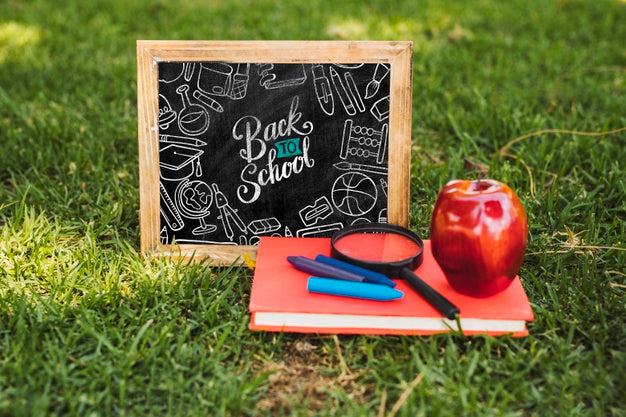 Organized Back To School Arrangement Psd
