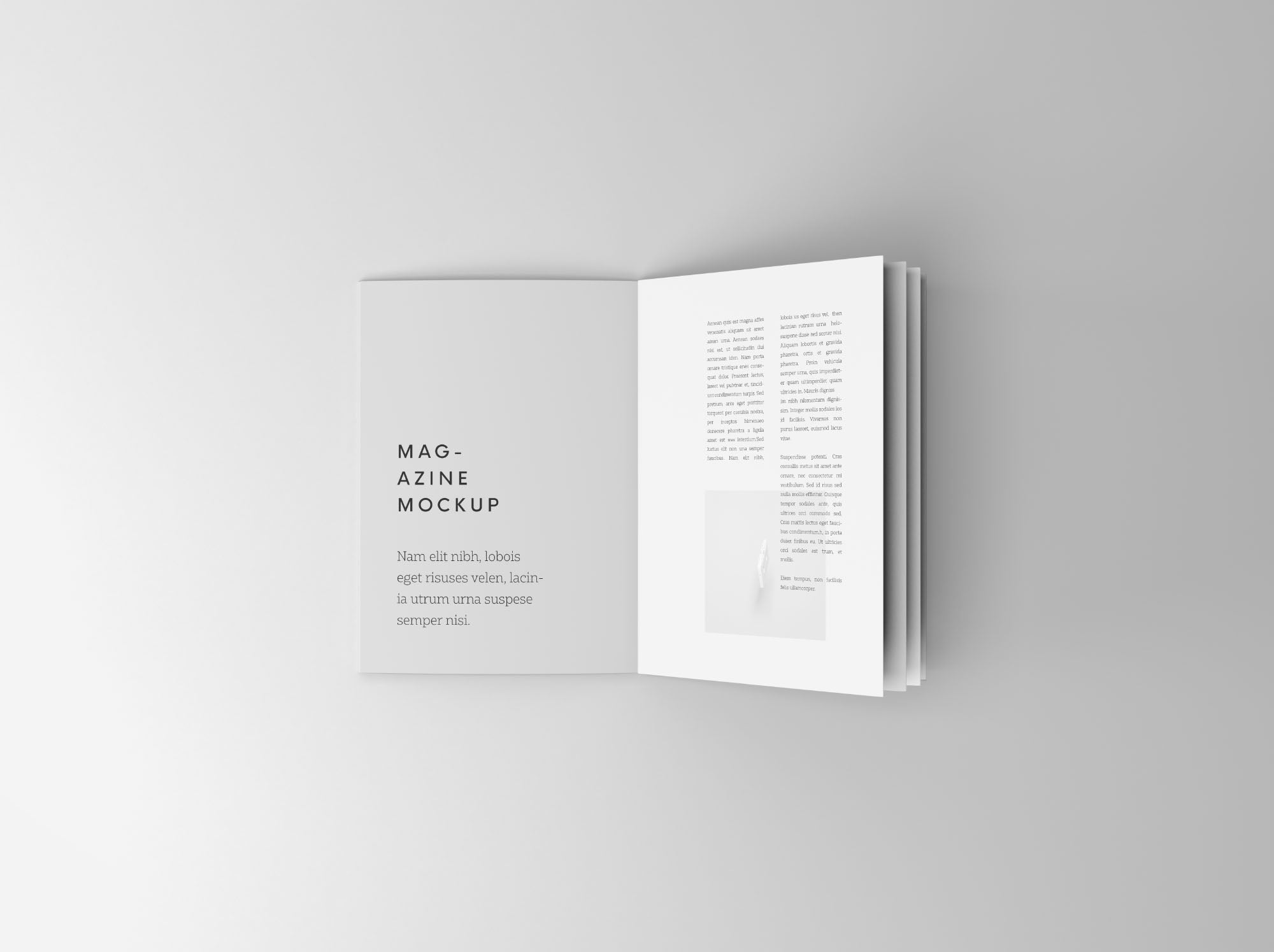 Overhead Booklet Mockup