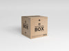 Packaging Delivery Box Mockup