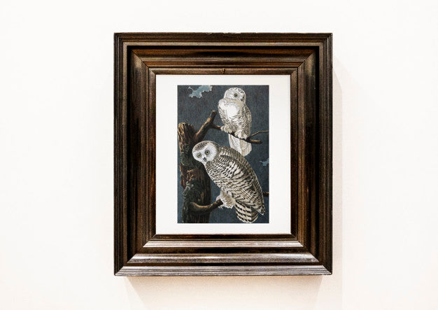 Painting Of Owls In A Wooden Frame Psd