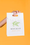 Paper Bag Concept Mock-Up Psd