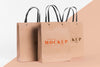 Paper Bag Concept With Mock-Up Psd