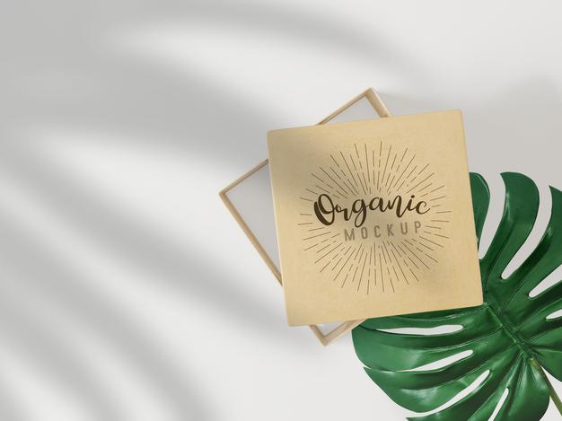 Paper Box Mockup With Monstera Leaf Psd