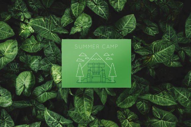 Paper Mockup On Leaves Background Psd