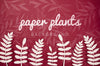 Paper Plants Background With Fern Leaves Psd