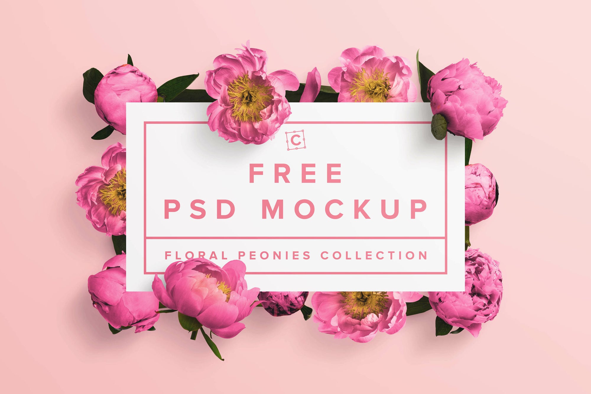 Peonies Frame Psd Mockup