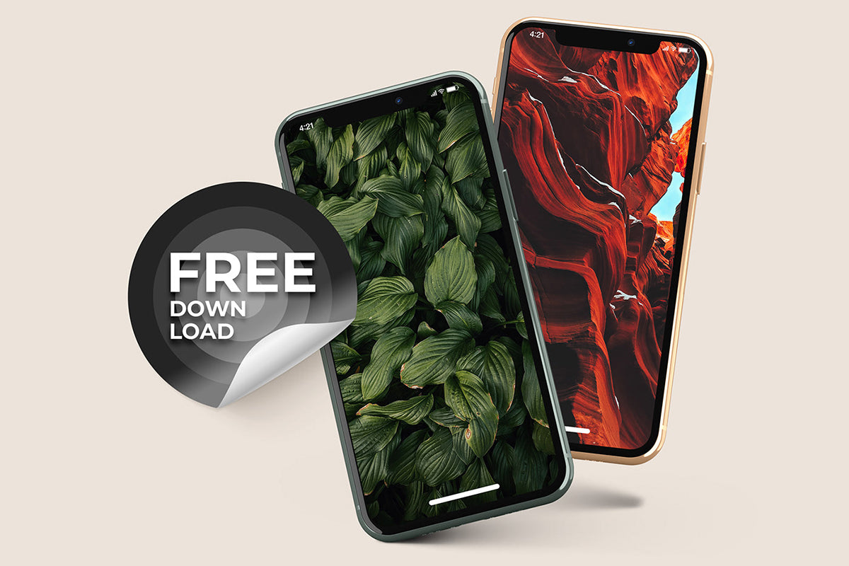 Phone App Presentation Mockup