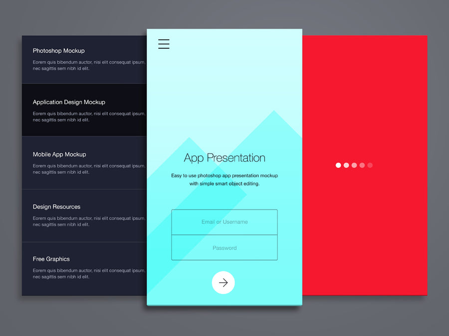 Phone Application Presentation Mockup