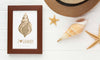 Photo Frame On Wooden Background Psd