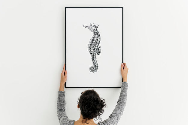 Photo Frame With A Seahorse Drawn Picture Psd
