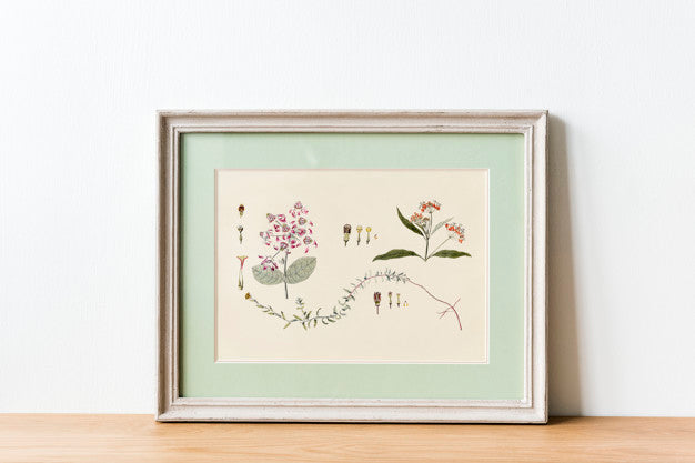 Photo Frames Mockup Psd