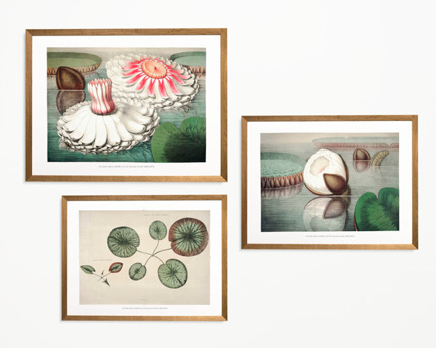 Picture Frame Mockup Psd