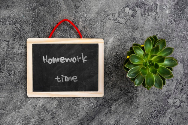 Plant And Chalkboard On Workspace Psd