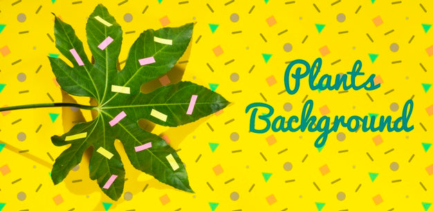 Plant Draw With Different Shapes Mock-Up Psd