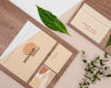 Plant, Stationery And Wood Above View Psd