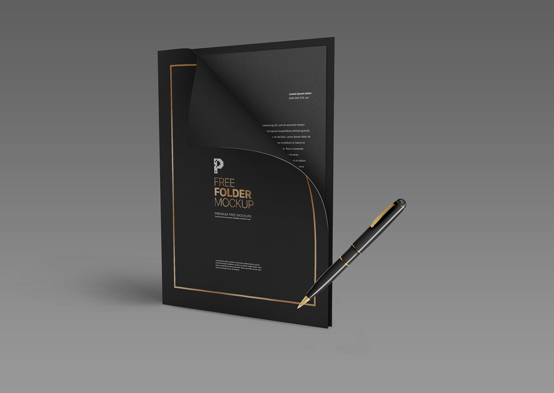 Pocket Folder Mockup
