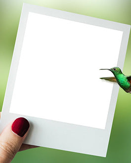 Polaroid Photo Frame Mockup Psd