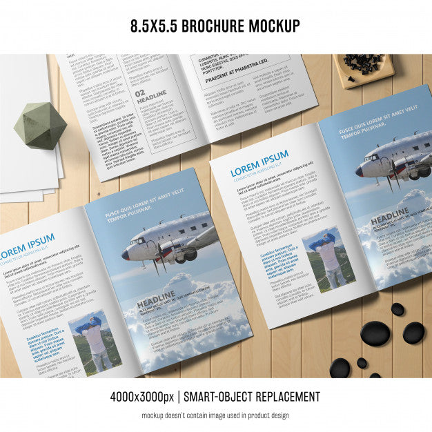 Portrait Brochure Mockup Psd