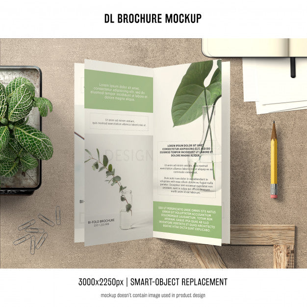 Portrait Dl Brochure Mockup Psd