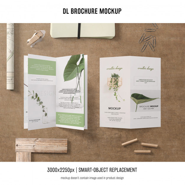 Portrait Dl Brochure Mockup Psd