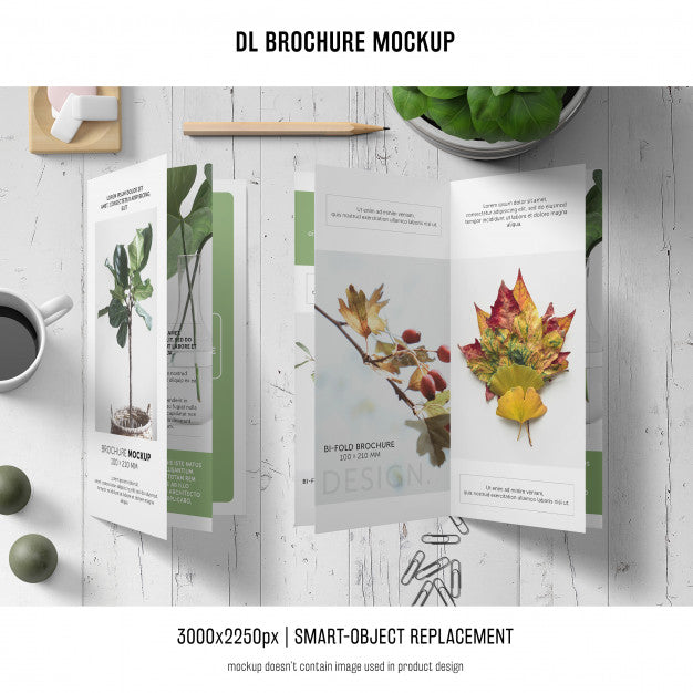 Portrait Dl Brochure Mockup Psd