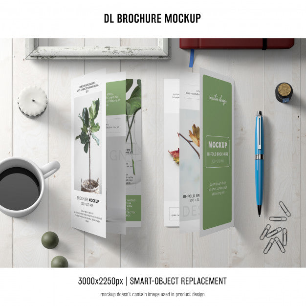 Portrait Dl Brochure Mockup Psd
