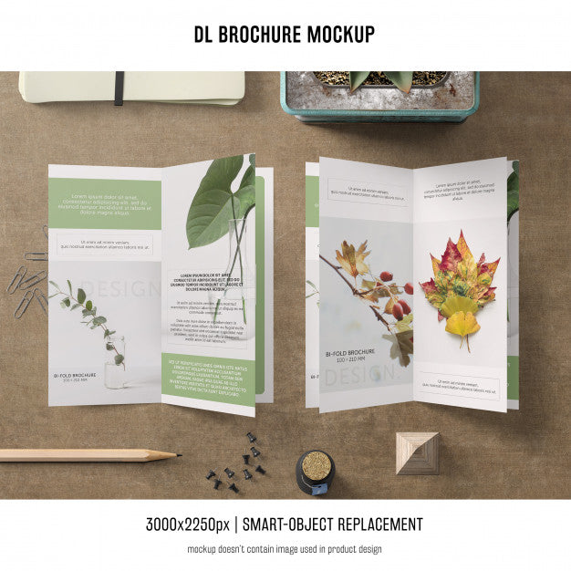 Portrait Dl Brochure Mockup Psd