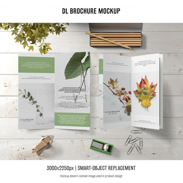 Portrait Dl Brochure Mockup Psd