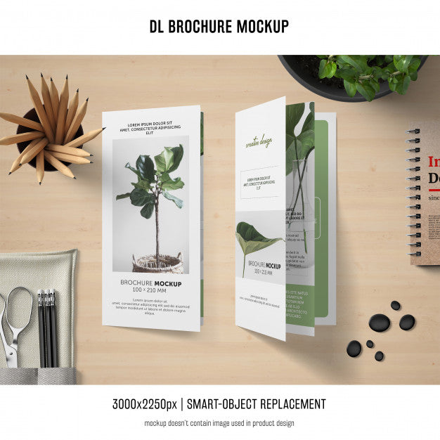 Portrait Dl Brochure Mockup Psd