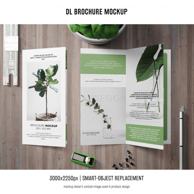 Portrait Dl Brochure Mockup Psd