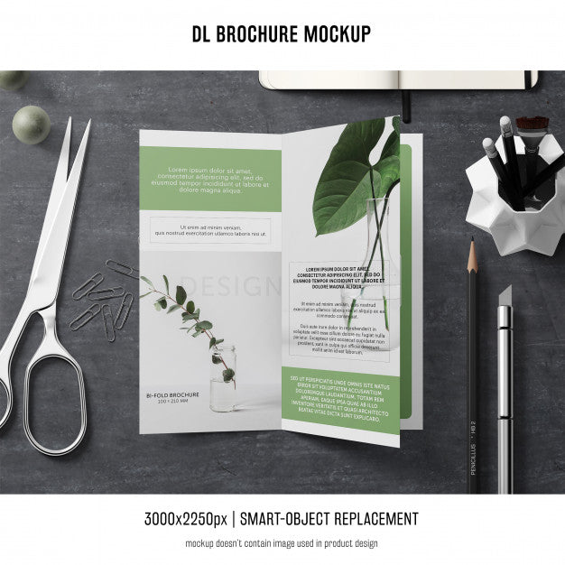 Portrait Dl Brochure Mockup Psd