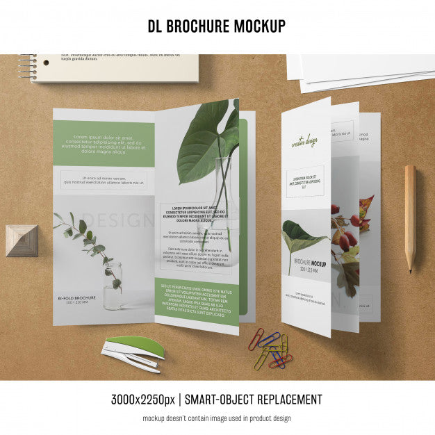 Portrait Dl Brochure Mockup Psd