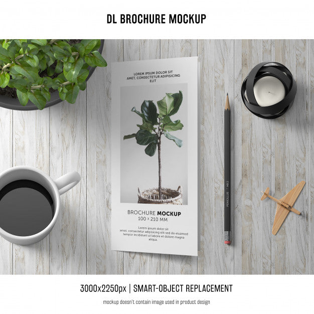 Portrait Dl Brochure Mockup Psd