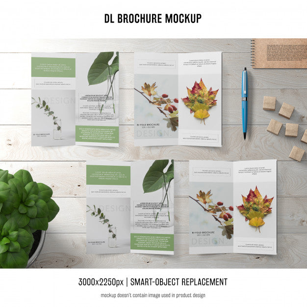 Portrait Dl Brochure Mockup Psd