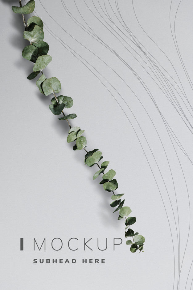 Poster Mockup With Eucalyptus Leaves Psd