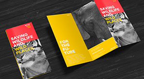 Premium Z-Fold Brochure Mockup Psd File