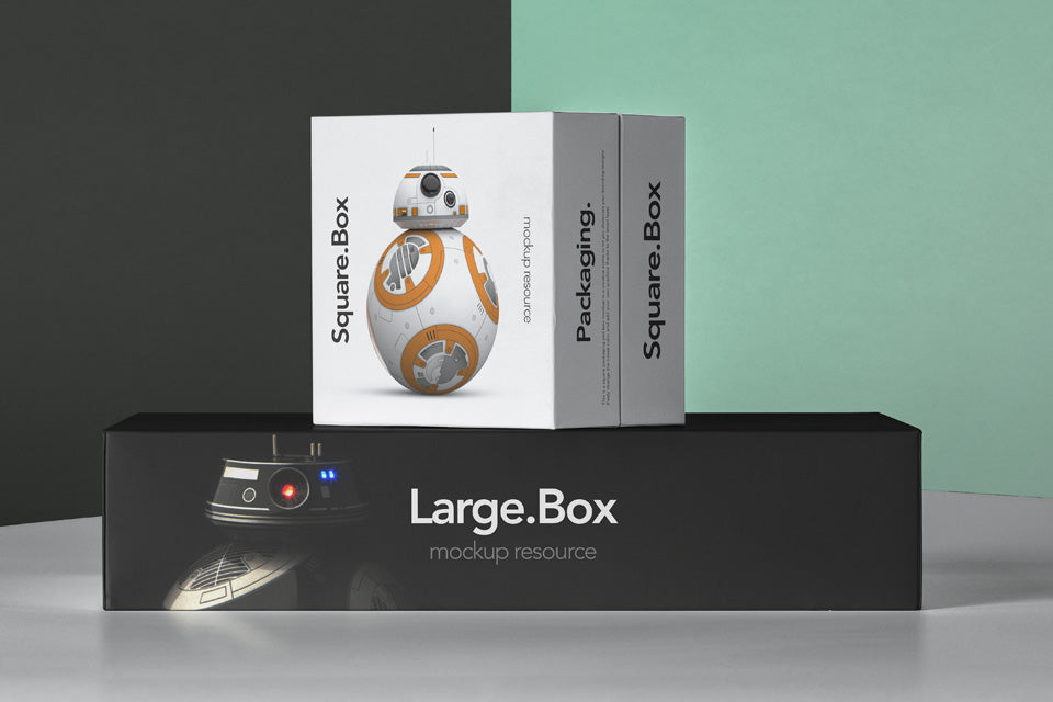 Psd Boxes Packaging Pack Mockup 4