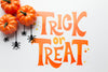 Pumpkins And Spiders On Halloween Day Psd