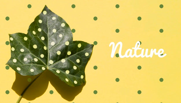 Realistic Plant With Artistic Draw Mock-Up Psd