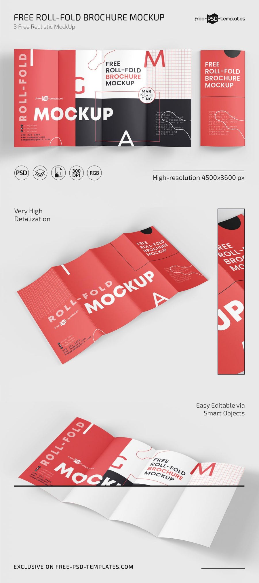 Roll Fold Brochure Mockup